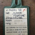 Cloverfortune1981-29