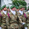 Ardense Jagers-5
