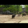Landmachtdagen 2012 Oirschot Cv90 Limburgse jagers