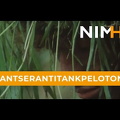 Optreden van het pantserantitankpeloton YPR 765 : PRAT : V - Deel 2: Het verzamelgebied