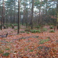 ONDERK 2
