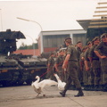 door de jaren heen (196)