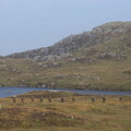 Schotland 2006 (13)