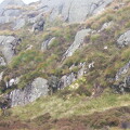 Schotland 2006 (15)