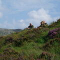 Schotland 2006 (22)